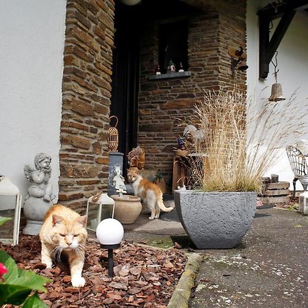 B&B Au Coq En Pate Jalhay Exteriér fotografie