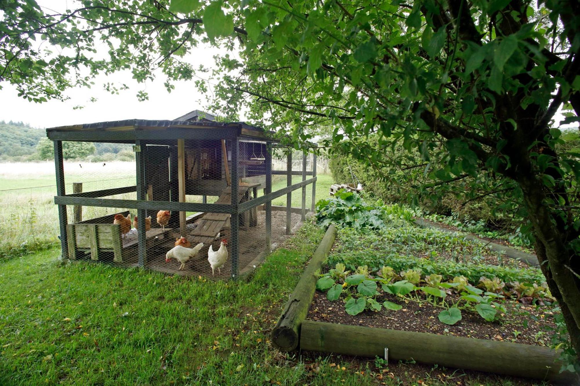 B&B Au Coq En Pate Jalhay Exteriér fotografie
