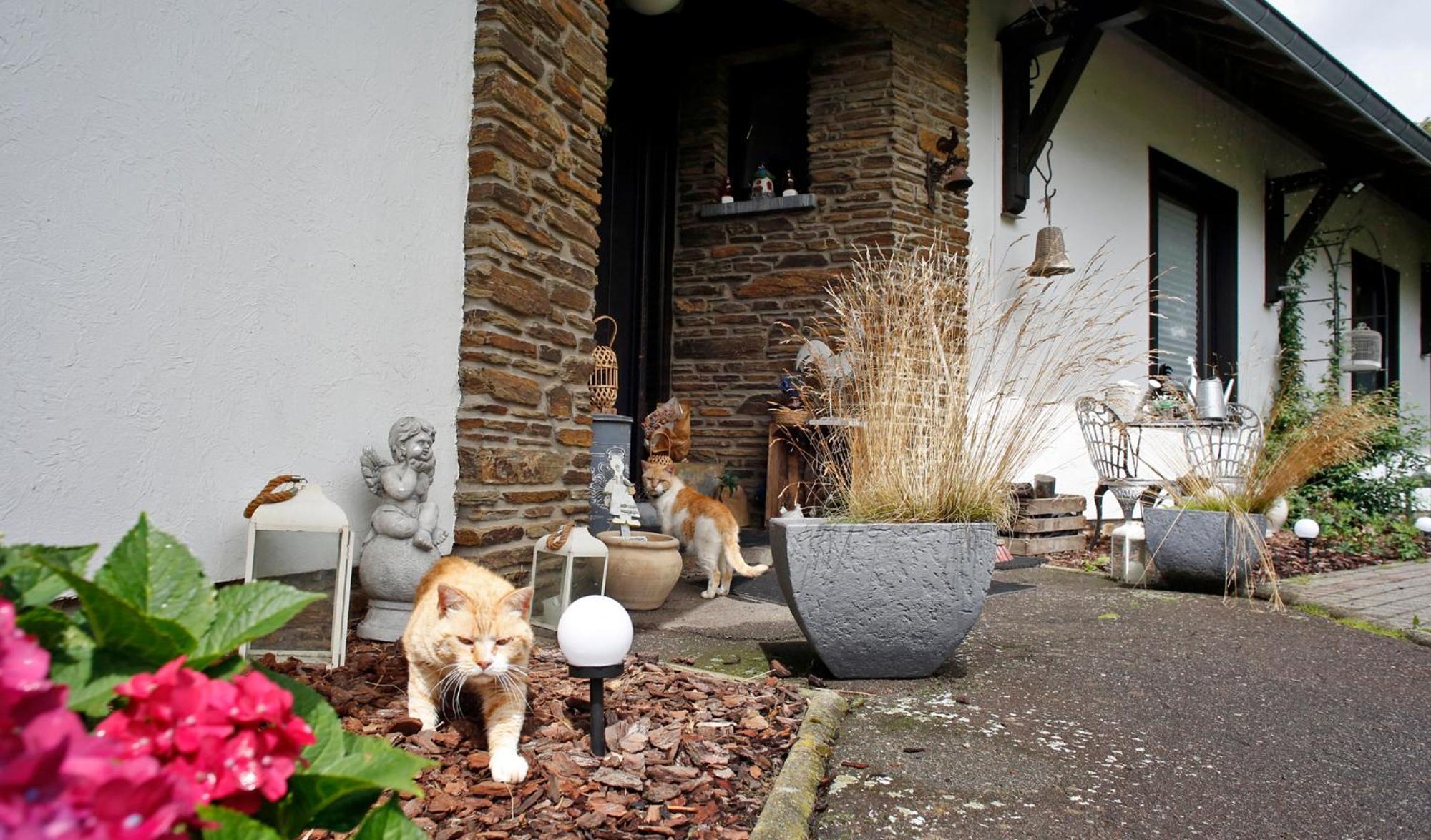 B&B Au Coq En Pate Jalhay Exteriér fotografie